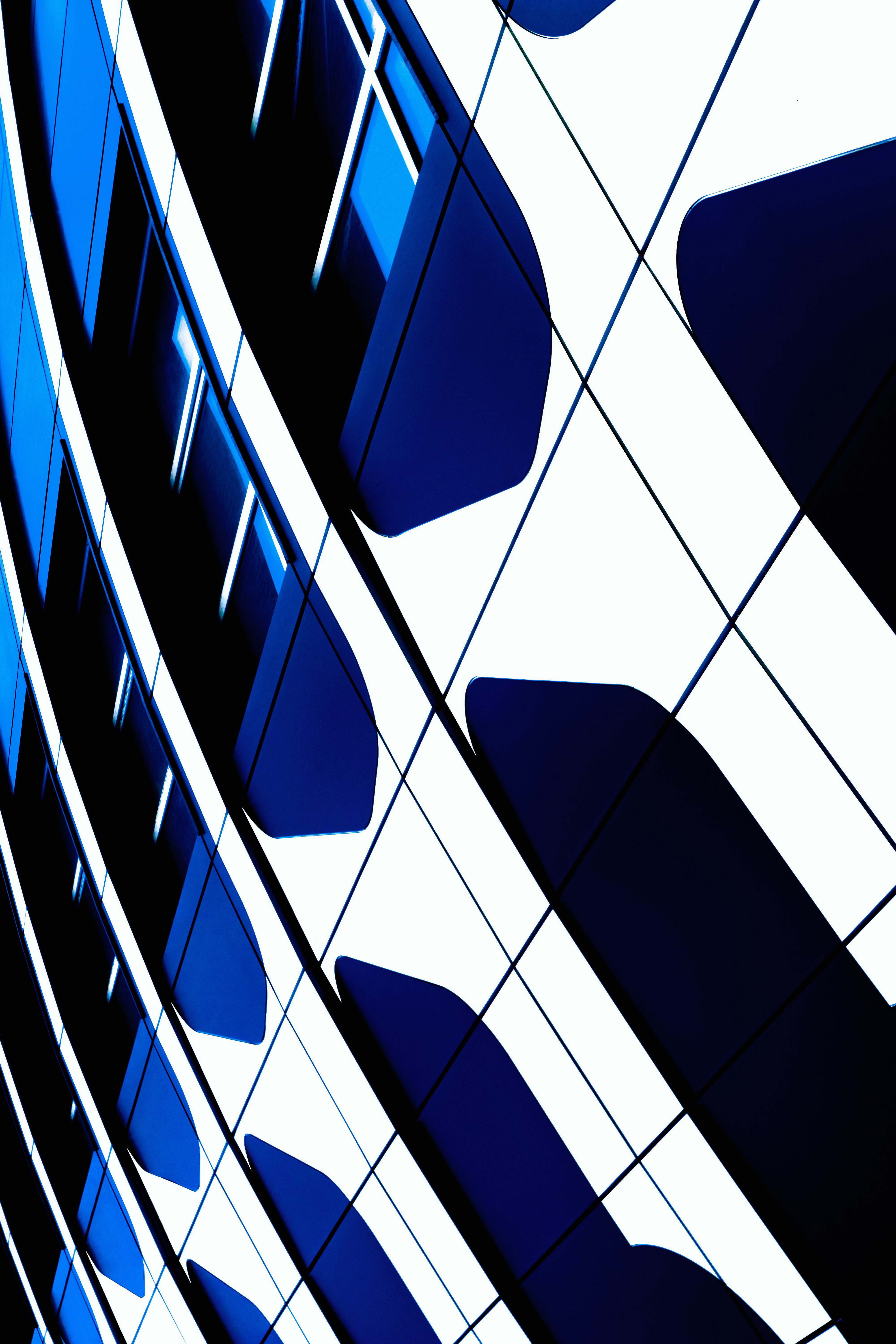 львівська область White And Black Checkered Illustration Lviv Image